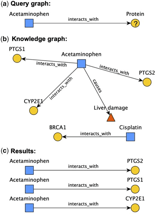 A small example showing a query graph (acetaminophen connected to an unspecified protein via an interacts_with edge), the larger knowledge graph context with several proteins and an unrelated drug, and the three subgraphs that fulfill the query.