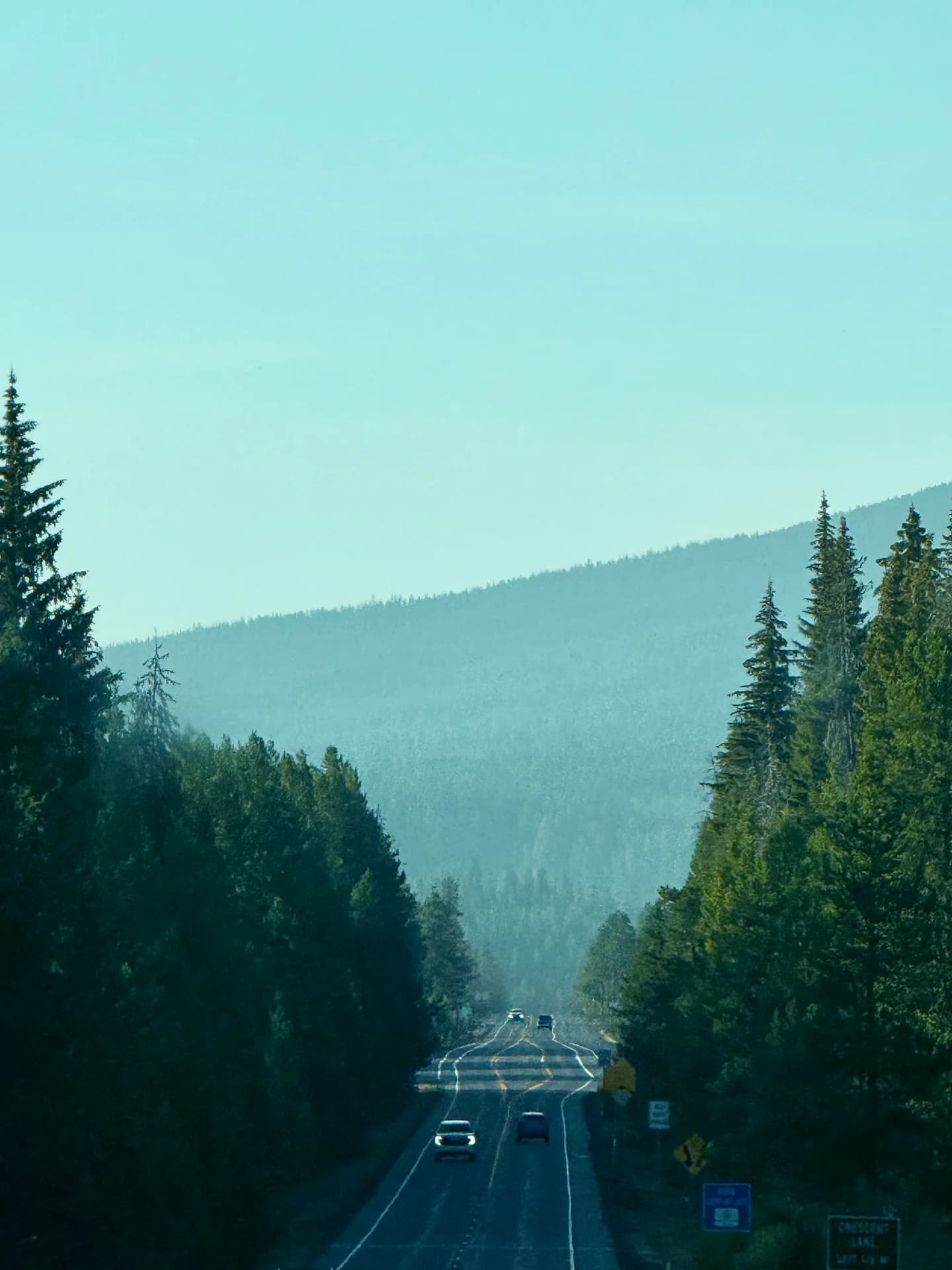 A road winding through evergreen forest