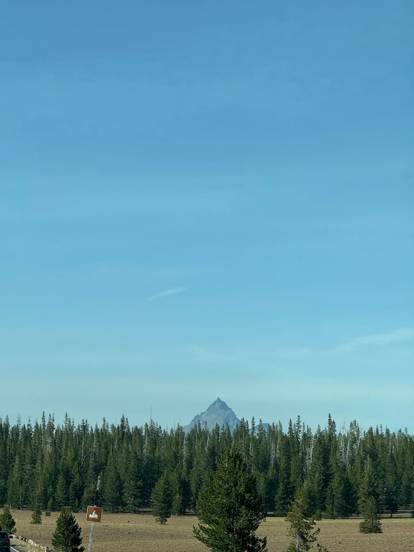 A mountain peak above an evergreen forest