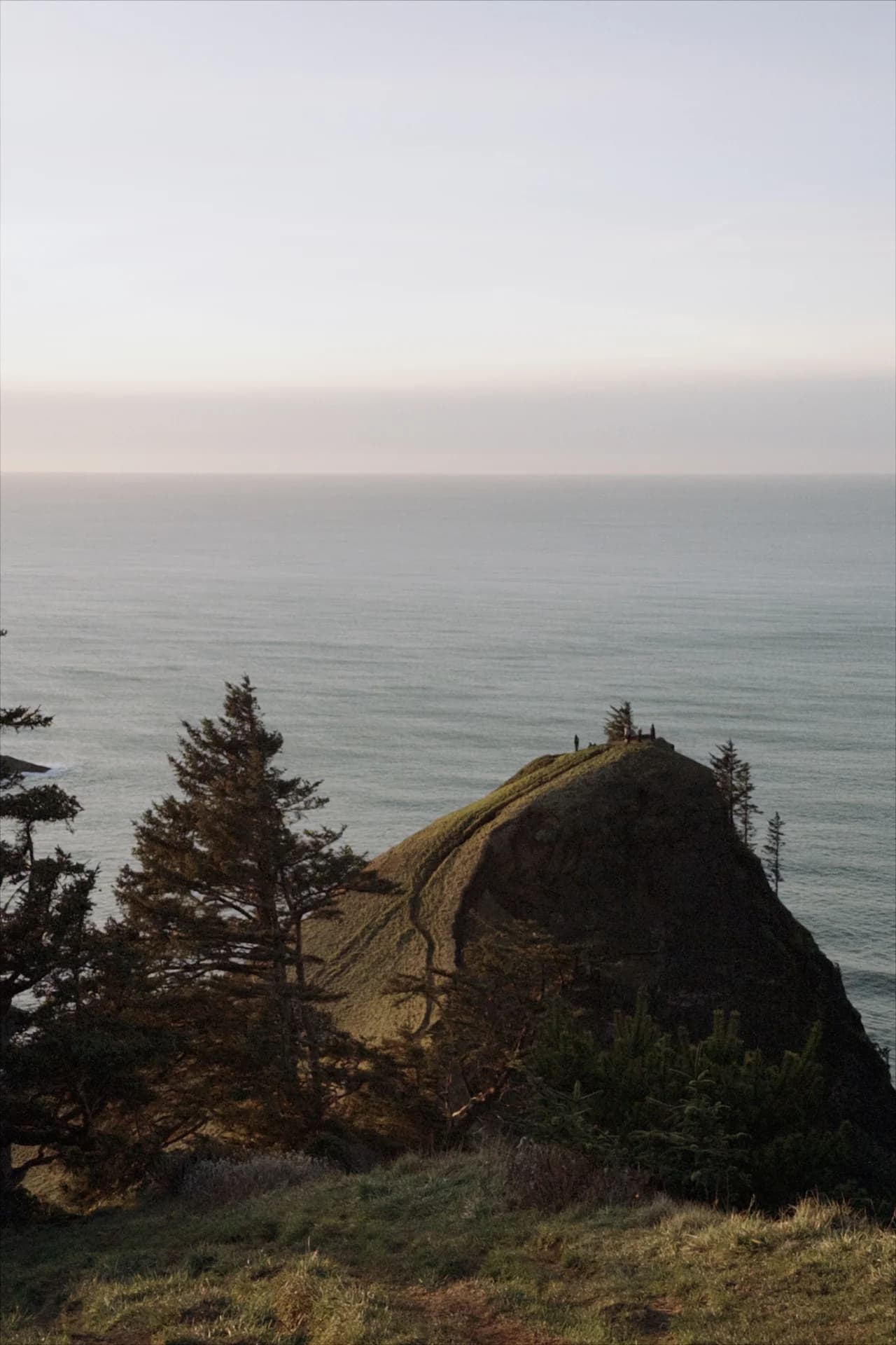 A grassy headland above the ocean
