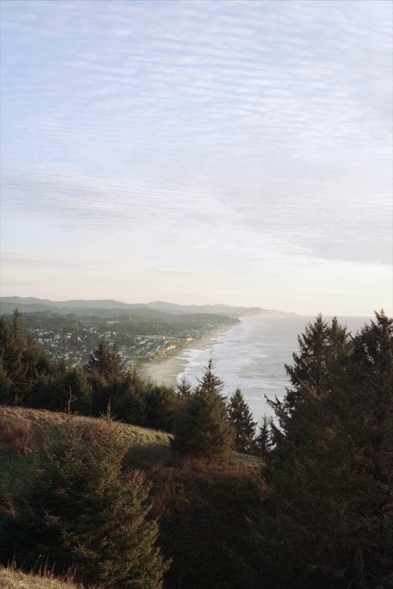 A coastal town viewed from a hillside