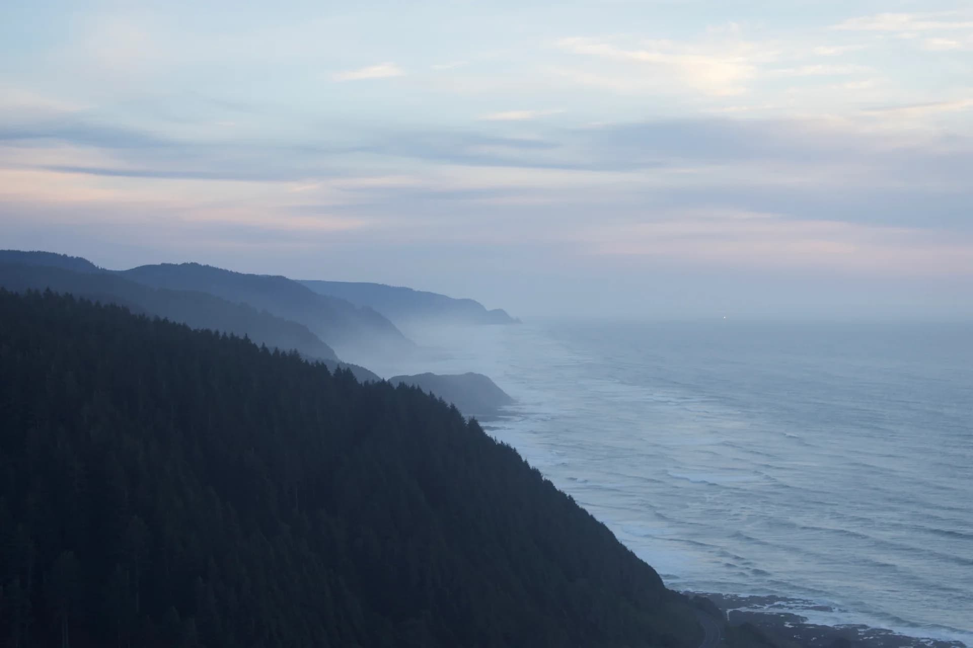 Forested coastal cliffs fading into the distance