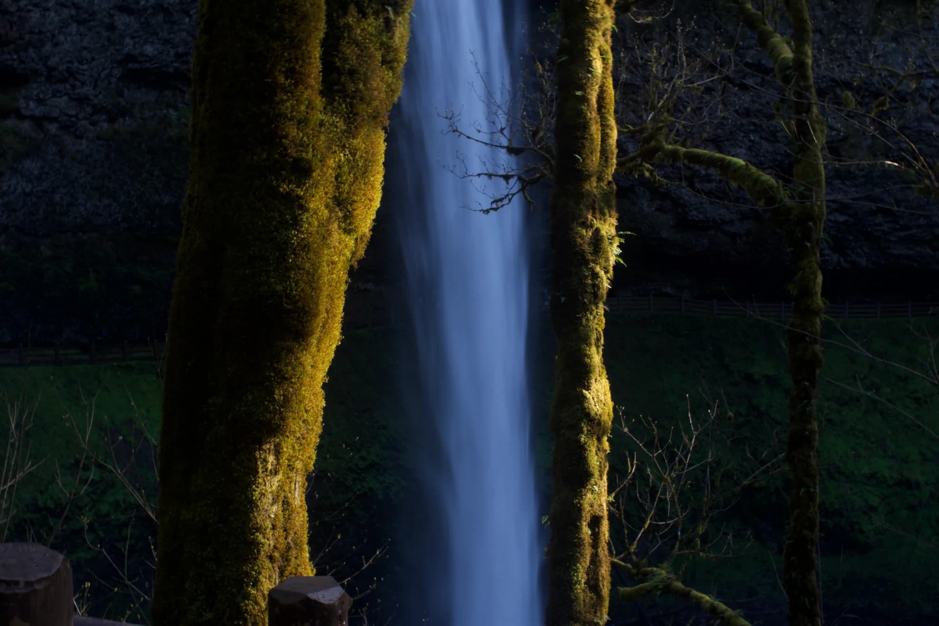 A waterfall framed by moss-covered trees