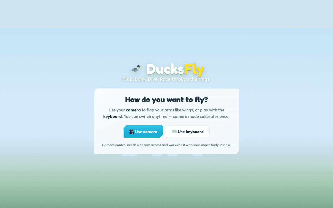 DucksFly webcam duck racer